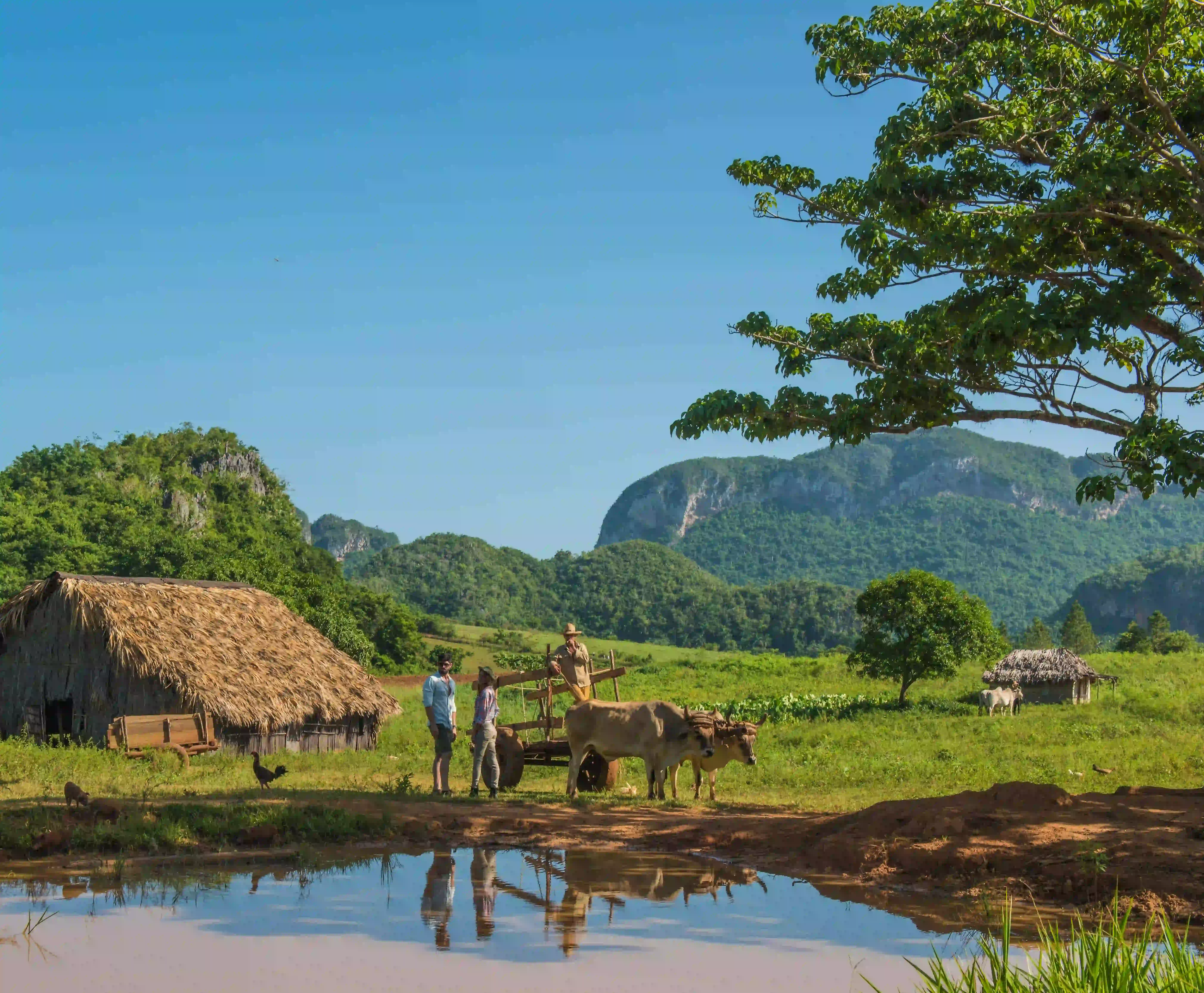 Pinar del Rio