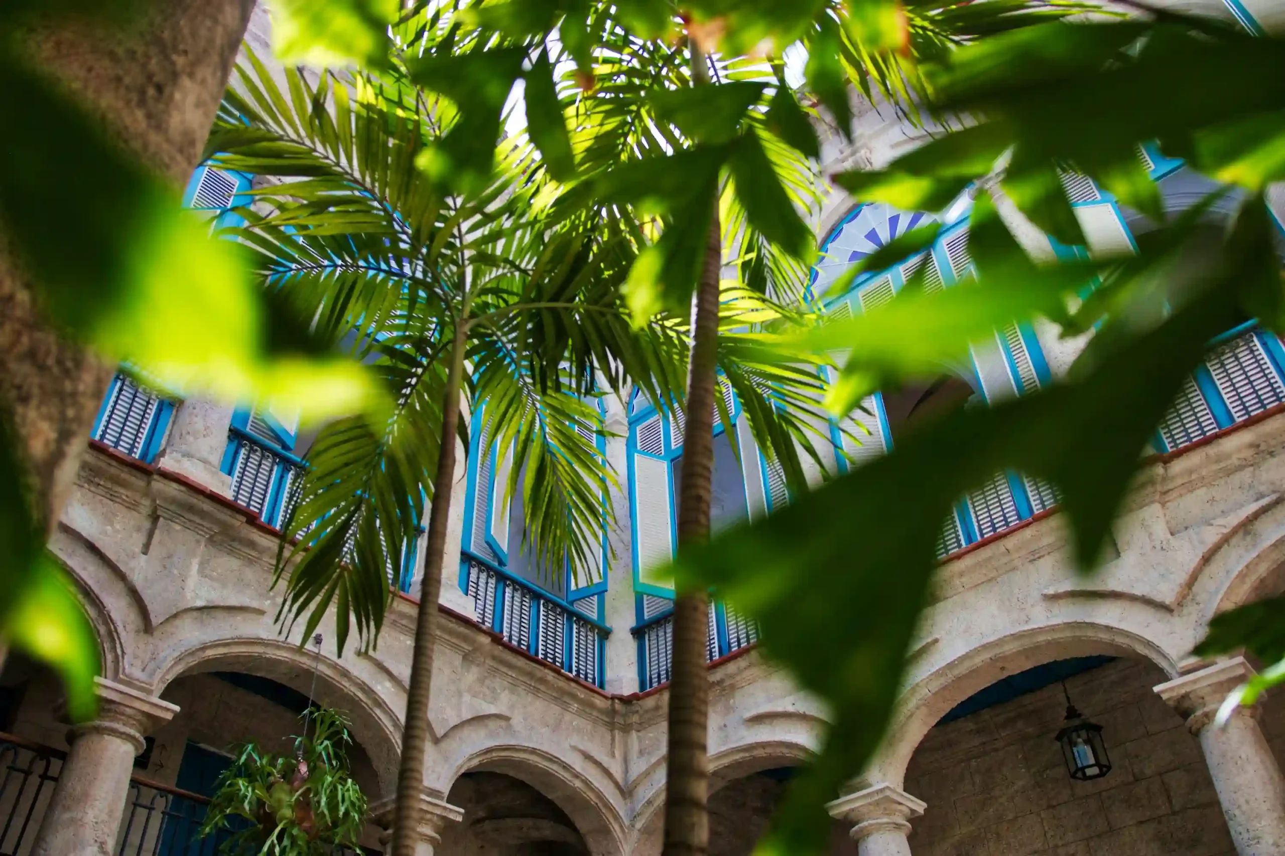 green-cuba2