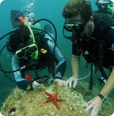 activities2